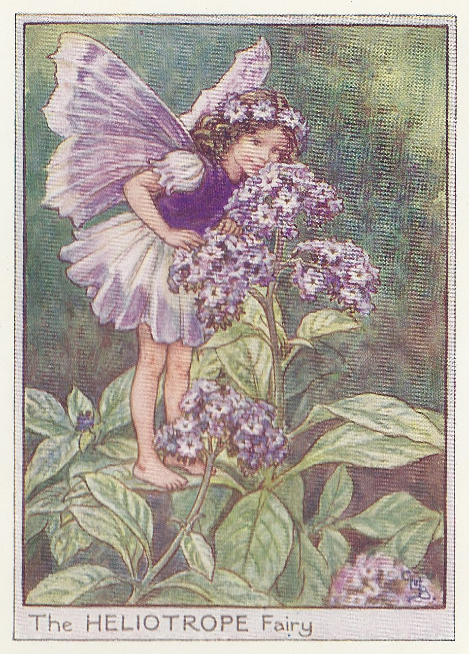 Fairies of the Garden