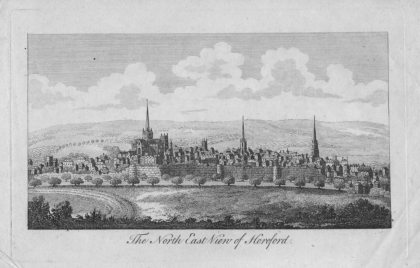 Hereford city panorama antique print 1804