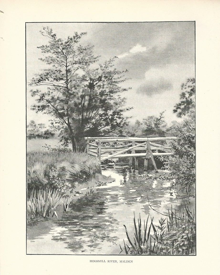 Hogsmill River at Malden antique print 1893