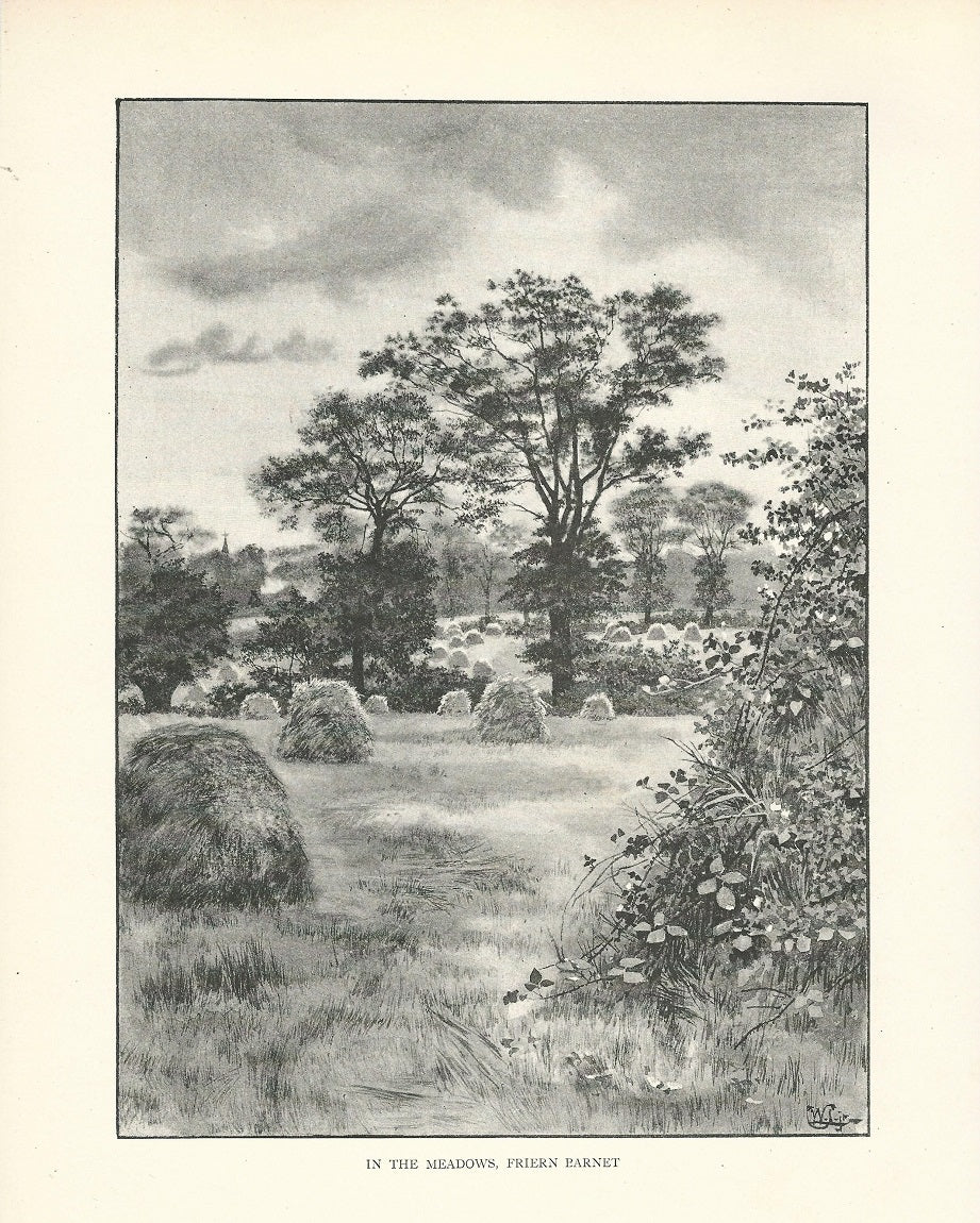 Friern Barnet meadows antique print 1893