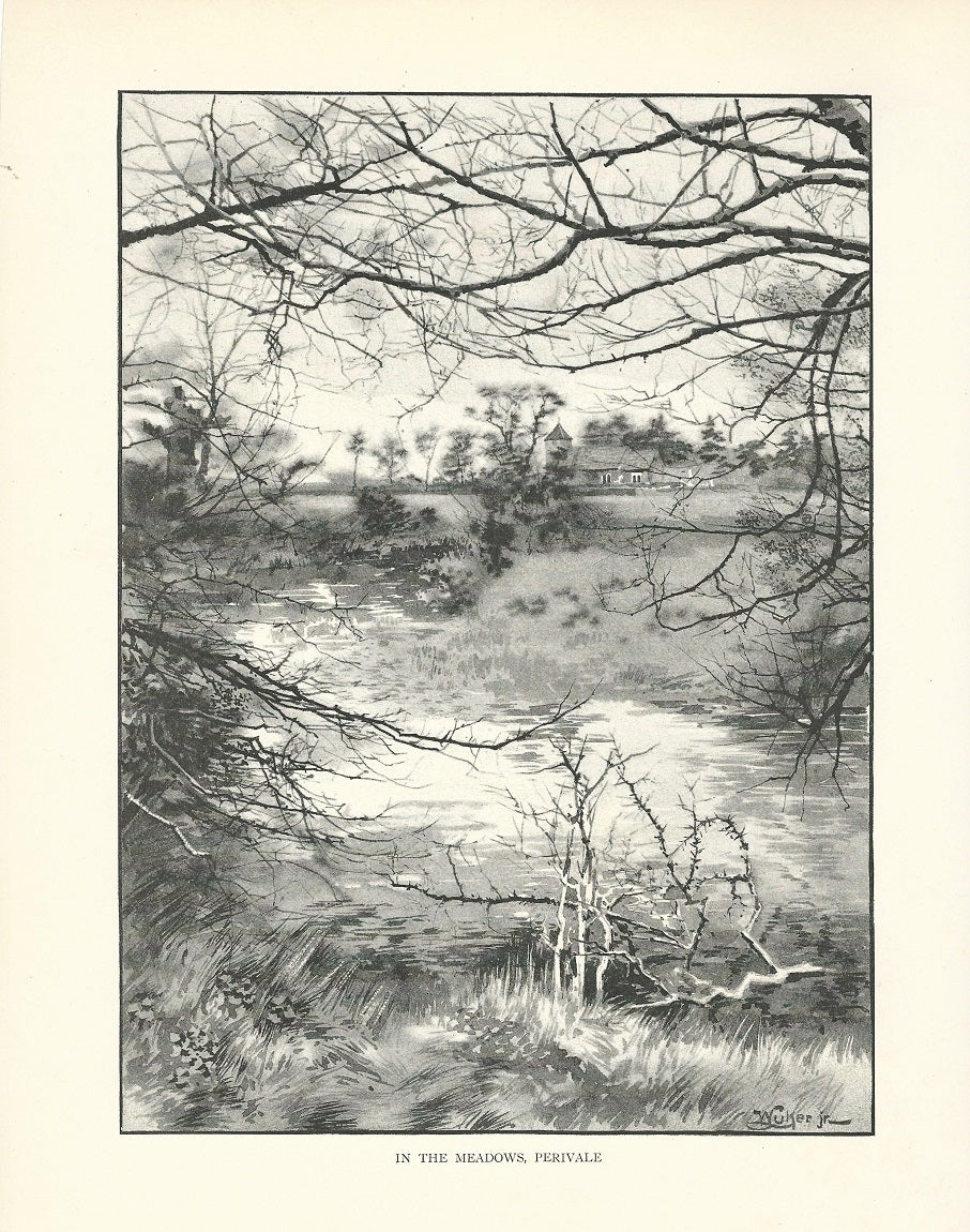 Perivale meadows antique print published 1893