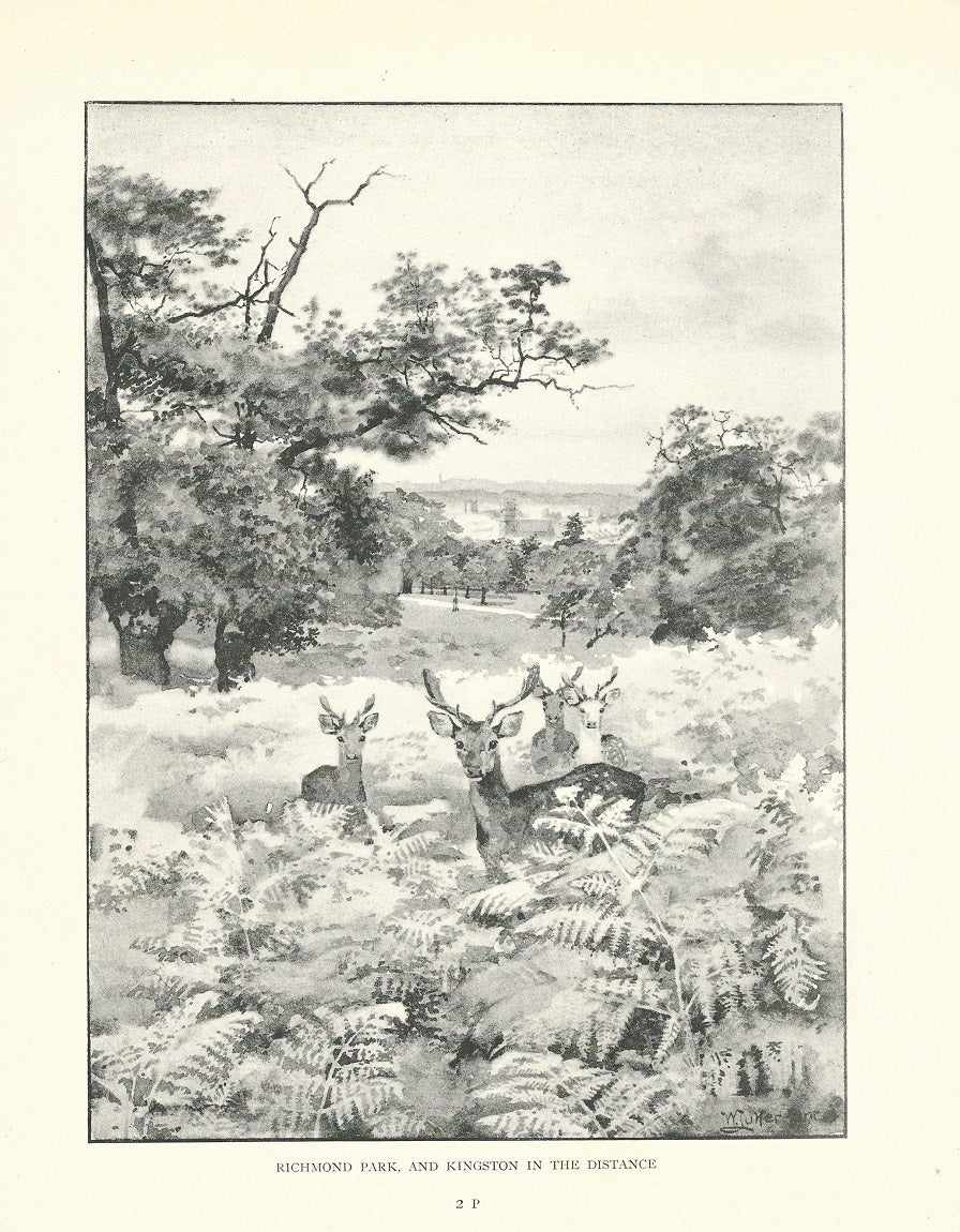 Richmond Park looking towards Kingston 1893