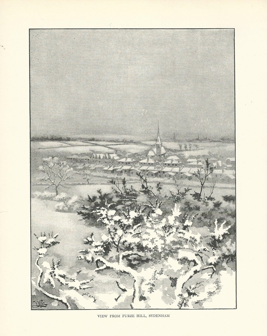 Sydenham from Furze Hill antique print 1893