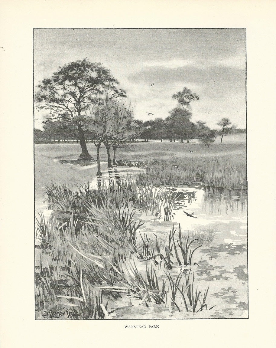 Wanstead Park antique print published 1893